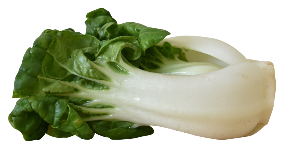 Bok Choy Chinese Png Photos (black, silver)