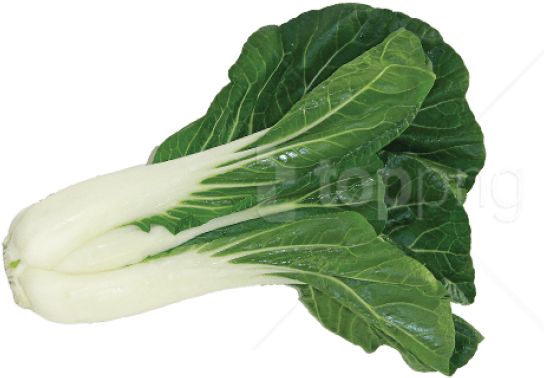 Bok Choy Chinese Png Pic (beige, black)