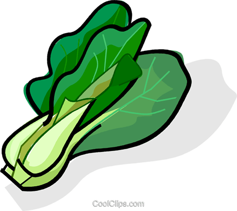 Bok Choy (teal, gray, black, lavender, beige)