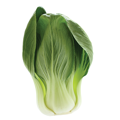 Bok Choy Png Cutout (olive, green, white)