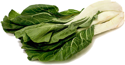 Bok Choy Png File (white, beige, black)