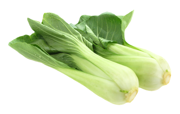 Bok Choy Png Free Download (black, beige, mint, green, gray)