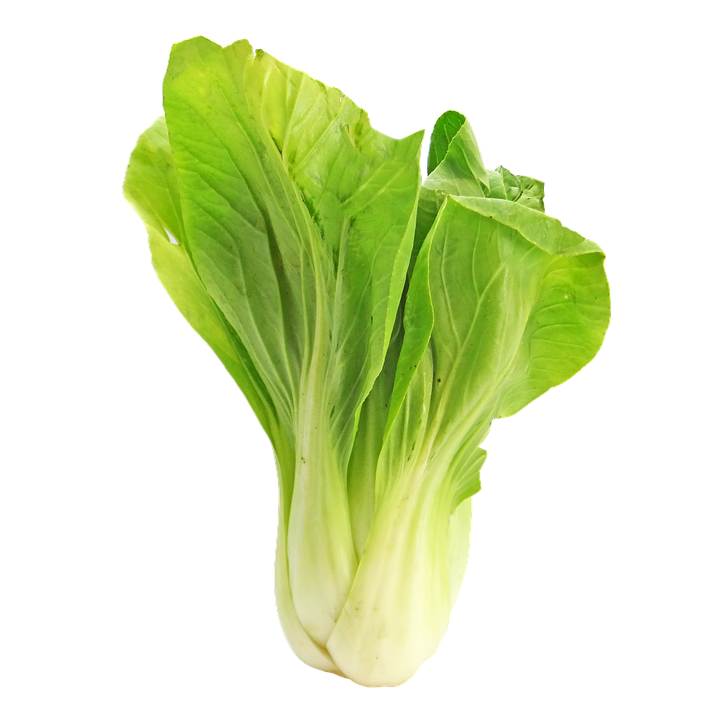 Bok Choy Png Hd Image (beige, white)