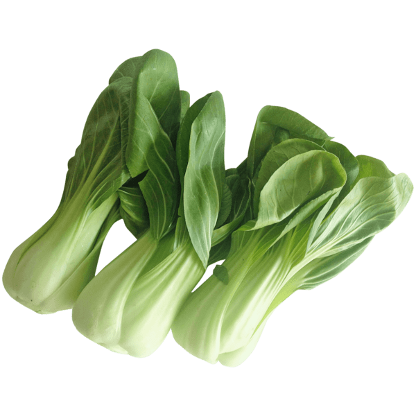 Bok Choy Png Image (gray)