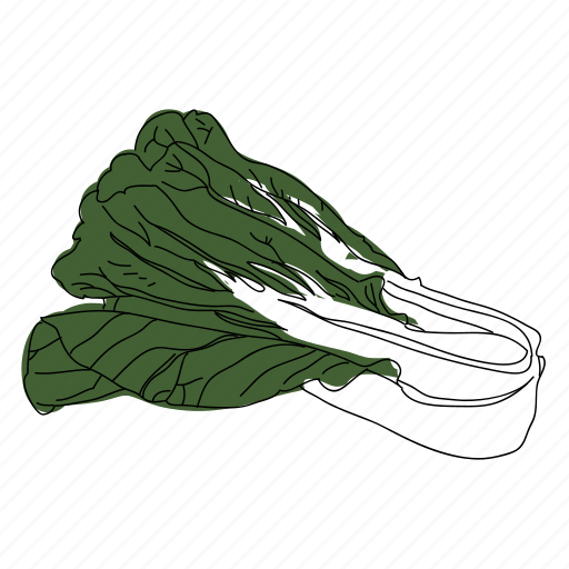 Bok Choy Png Images (indigo, black, olive, white)