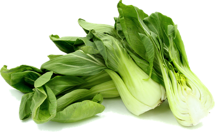 Bok Choy Png Photos (black, beige, mint, green, olive)