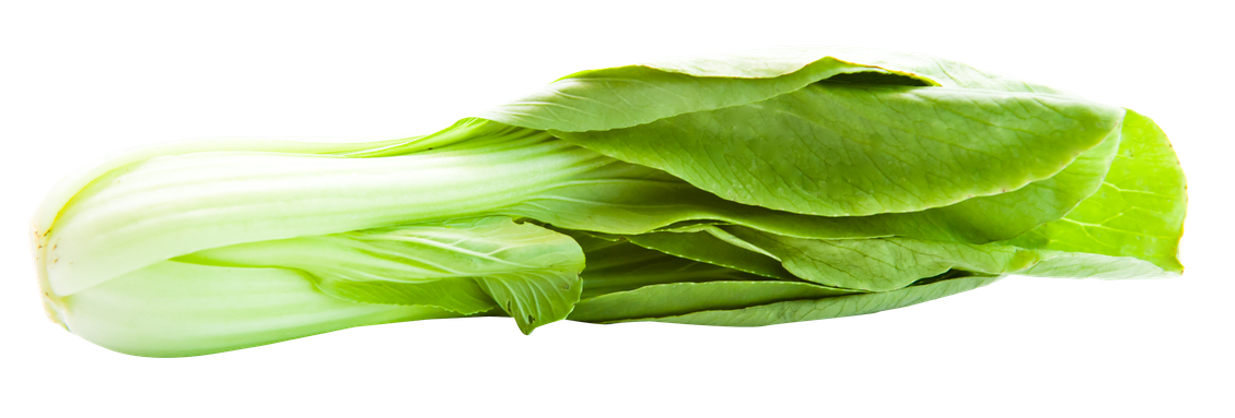 Bok Choy Transparent Background (white, black, gray)