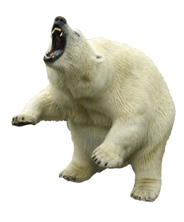 Polar Bear Png Clipart (black, gray, silver)