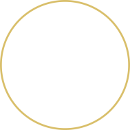 Gold Circle Png Hd Image (black, salmon, gray)