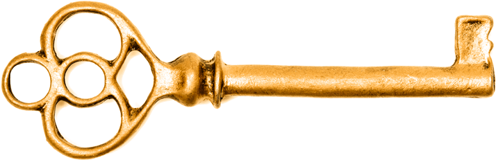 Gold Key Png File (black, pink, orange)