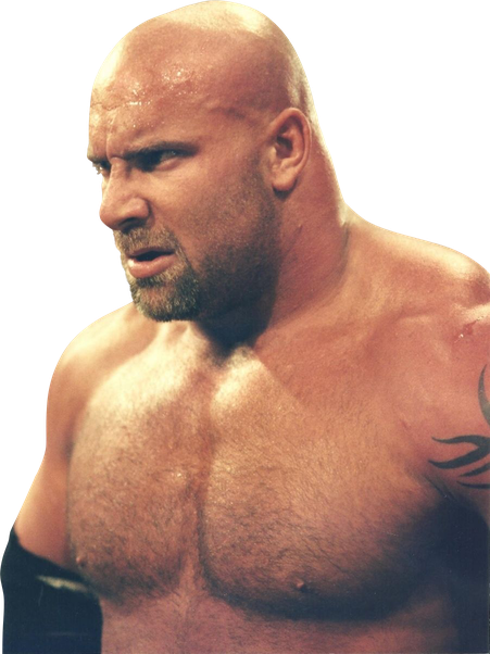 Goldberg Png Hd (indigo, black, salmon)