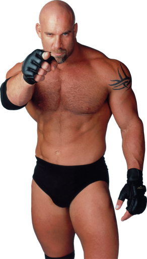 Goldberg Transparent Png (black)