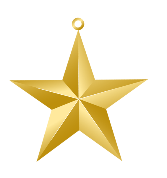 Golden Christmas Star Png Image (chocolate, gray, pink)