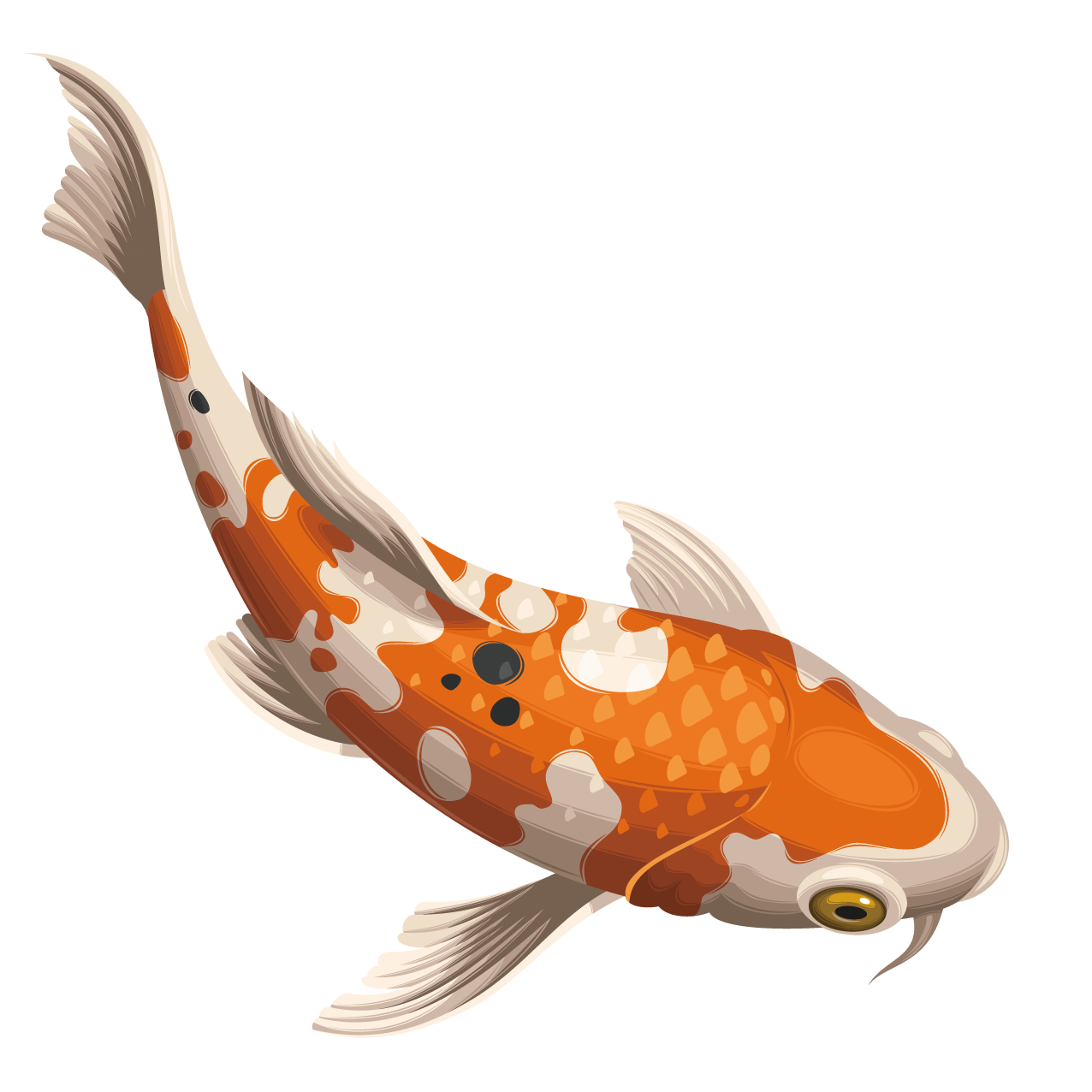 Golden Koi Fish Png Picture (gray, silver, chocolate, beige, black)