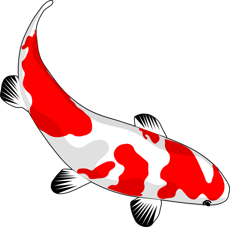 Golden Koi Fish Png Transparent Picture (white, red, lavender)