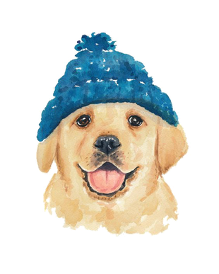 Golden Retriever Png Download Image (black, white)