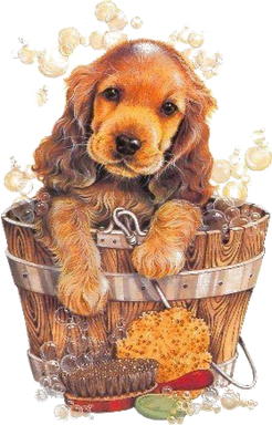 Golden Retriever Png Free Image (black)