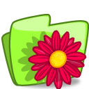 Folder Flower Red Free Nobackground Png Icon Download (olive, mint, red, yellow, black)