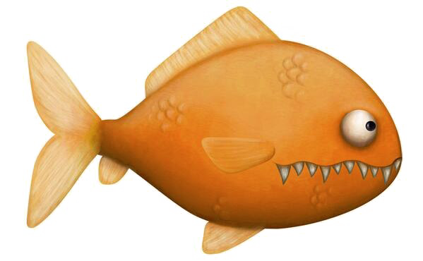 Goldfish Png Background Image (white)