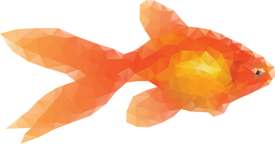 Goldfish Transparent Background (black, chocolate)