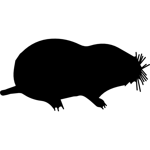 Mole Animal Png Clipart (white, silver, lavender, black)