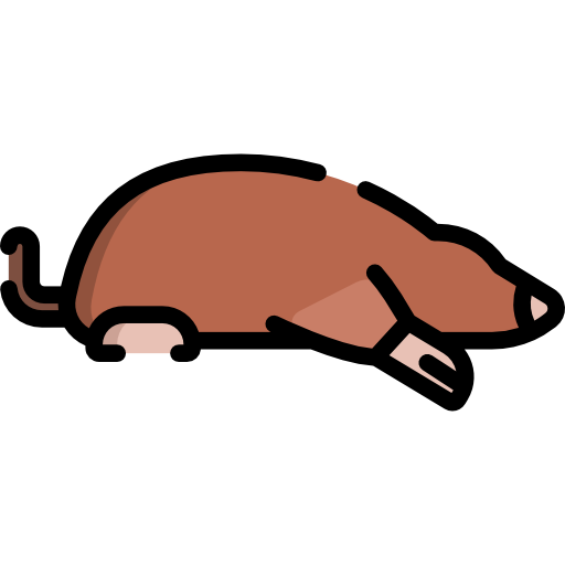 Mole Animal Png Image (pink, chocolate, black, salmon, white)