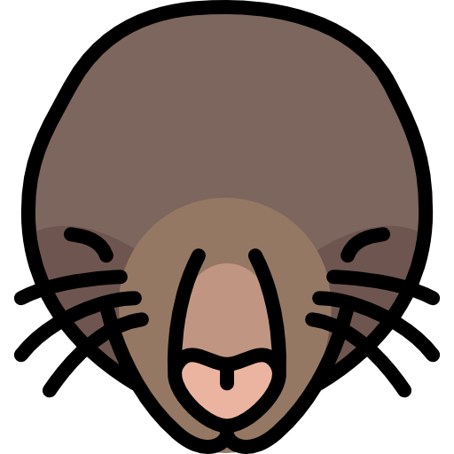 Mole Animal Png Picture (gray, pink, black, salmon, white)