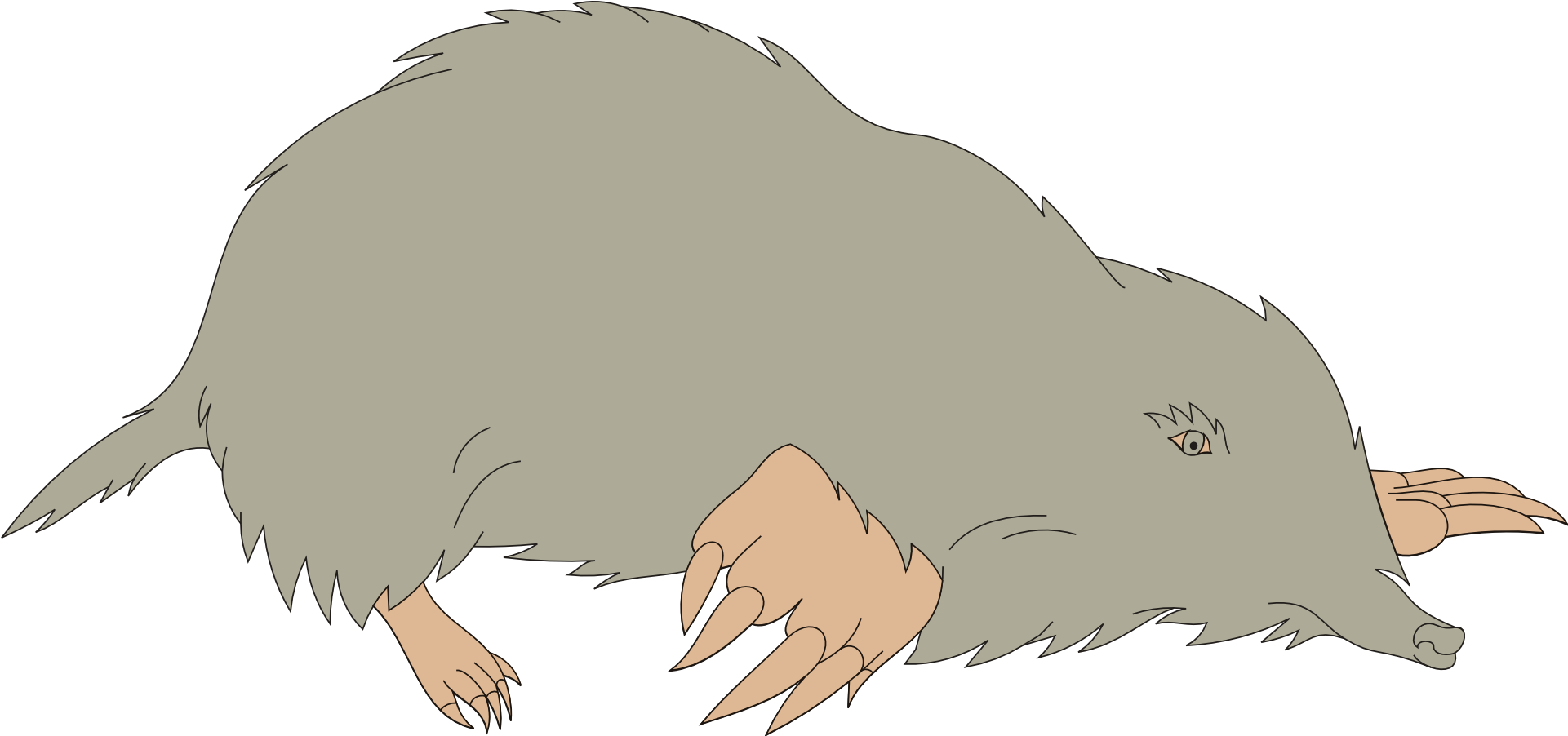 Mole Png Clipart (silver, black)