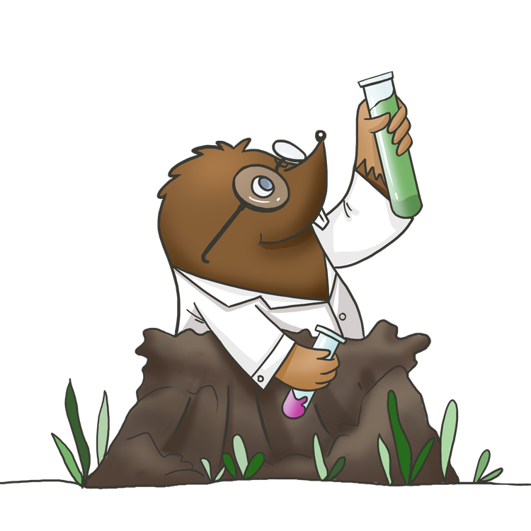 Mole Png Image (white, olive, black, gray)