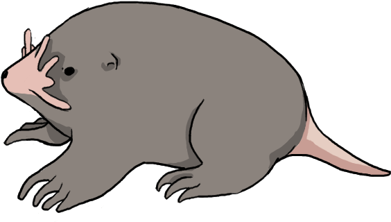 Mole Png Picture (gray, pink, black)