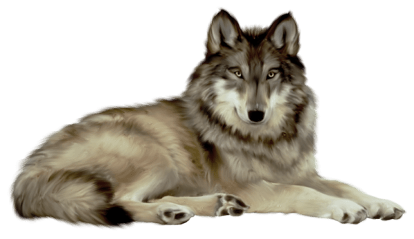 Wolf Download Png Image (black, gray)