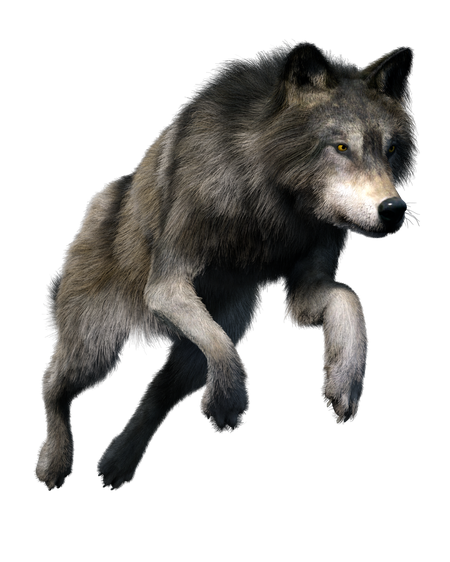 Wolf Png Photo (black)