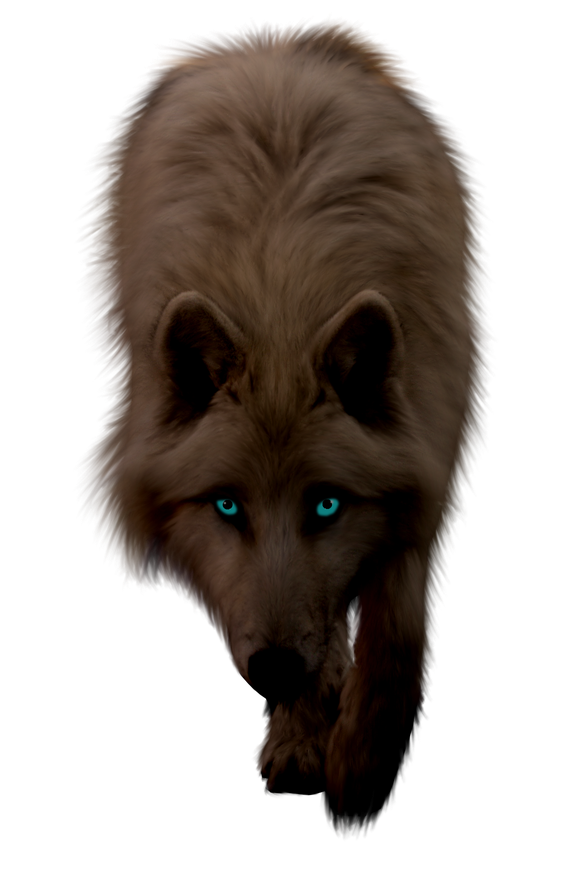 Wolf Png Photos (black)