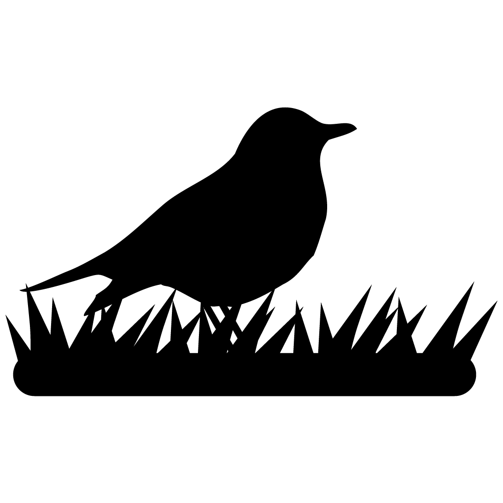 Collared Bush Robin Png File (black, white, indigo)