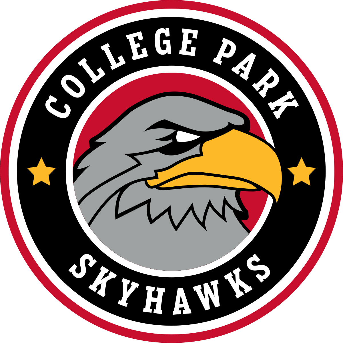 College Park Skyhawks Png Hd (orange, white, black, silver, red)