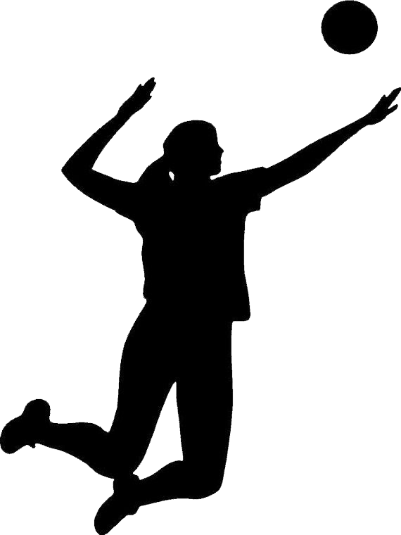 Volleyball Transparent Background (black, white)