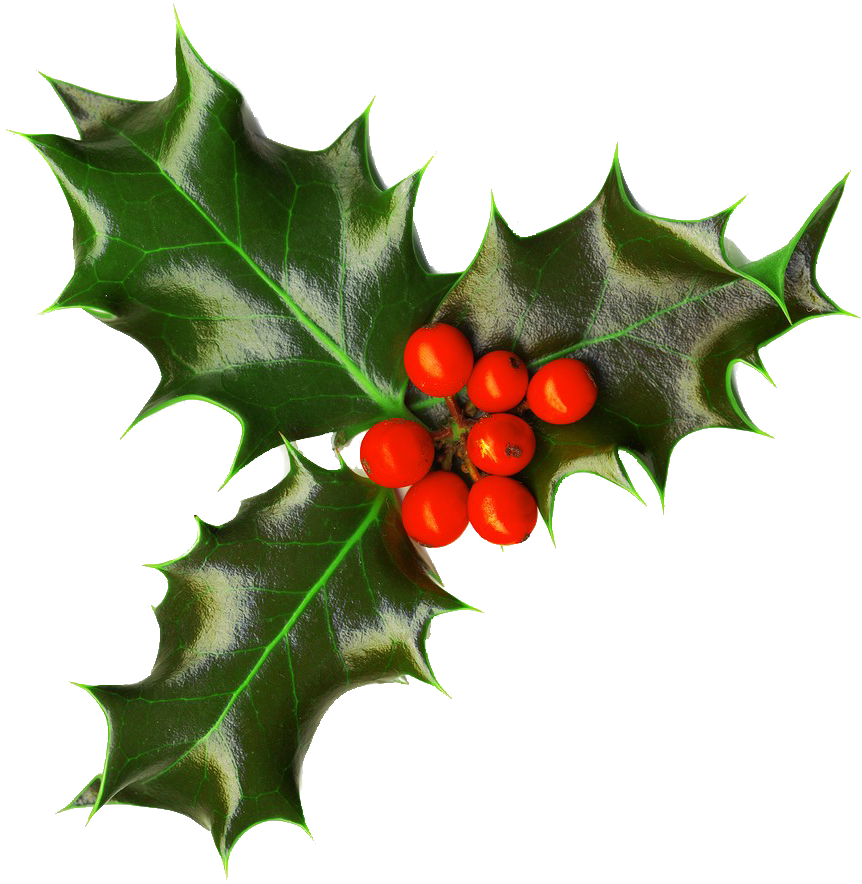 Holly Christmas Png Clipart (black, white)