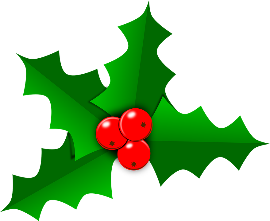 Holly Christmas Png Free Download (black, green, red)