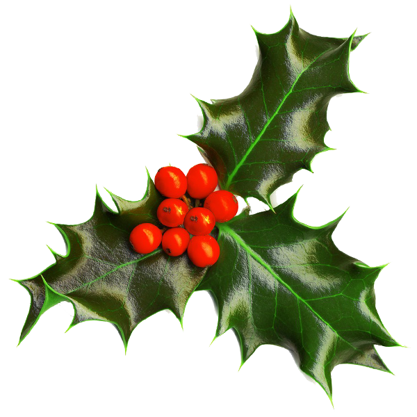 Holly Christmas Png Picture (beige, white, silver)