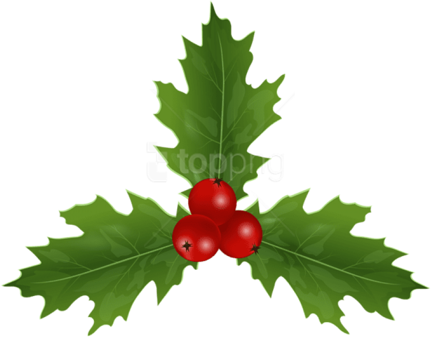 Holly Christmas Png (black, green, olive)