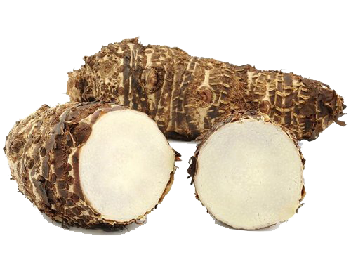 Colocasia Root Png File (beige, white, pink)