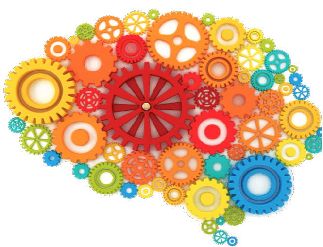 Colored Brain Gears Vector Png (gray, white, chocolate)