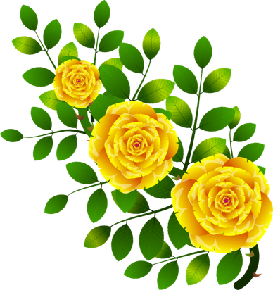 Colorful Rose Flower Png File (green, black)