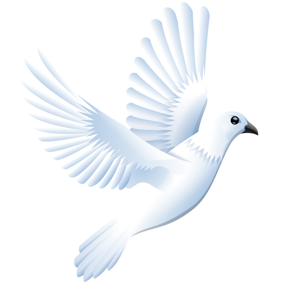 Columbidae Png Hd (lavender, black, white)