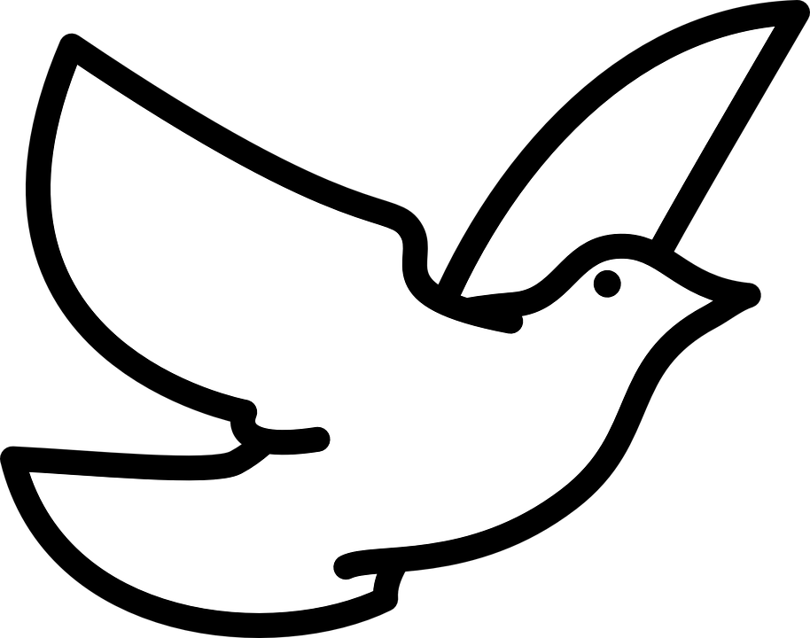 Columbidae Png Isolated Image (silver, black, white)