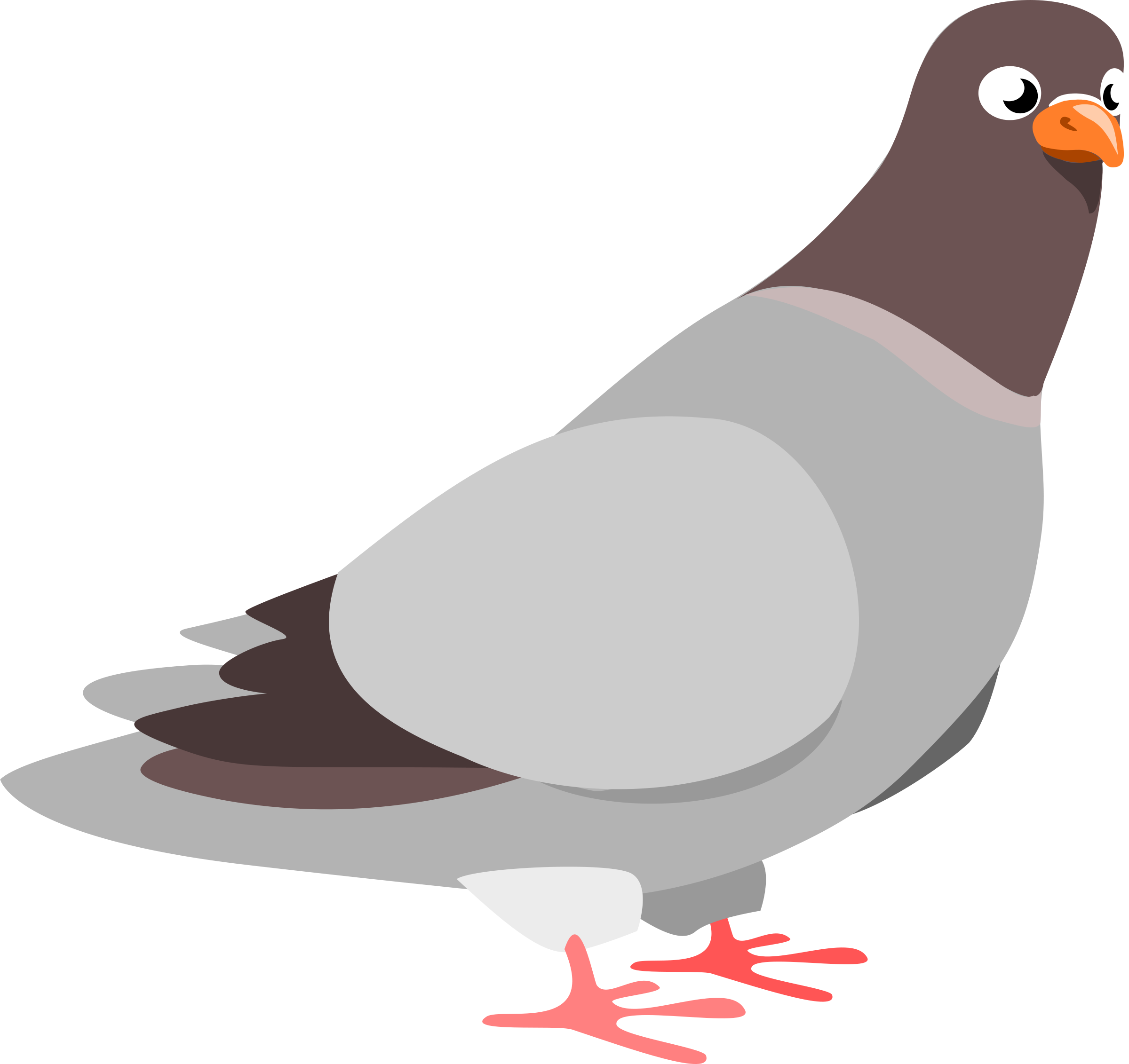 Columbidae Png Photos (indigo, gray, lavender, black, silver)