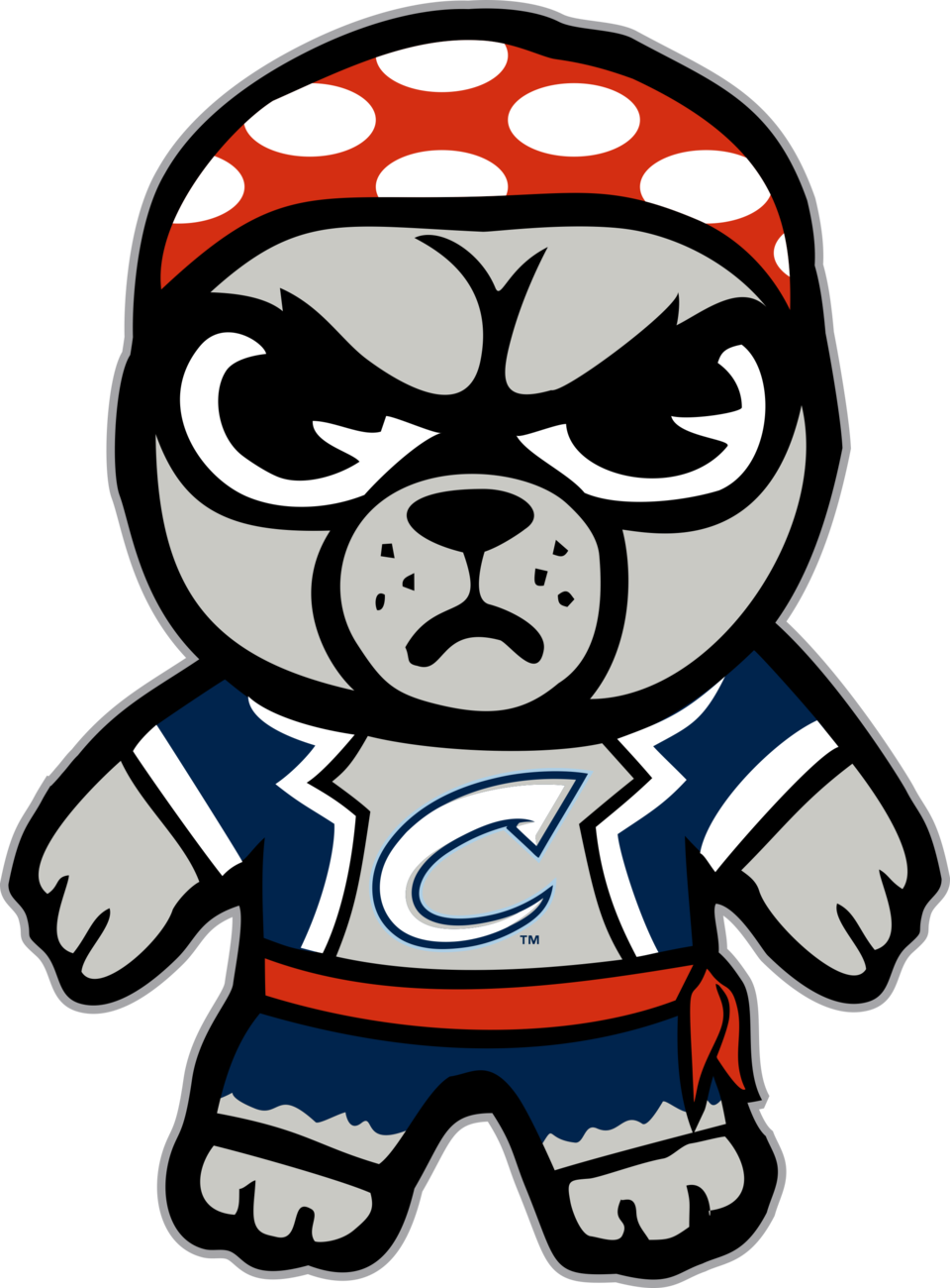 Columbus Clippers Png (white, black, navy, silver)