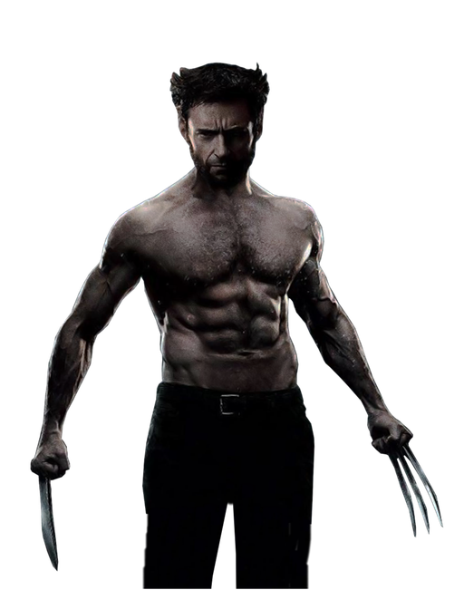 Wolverine Png Image (black)