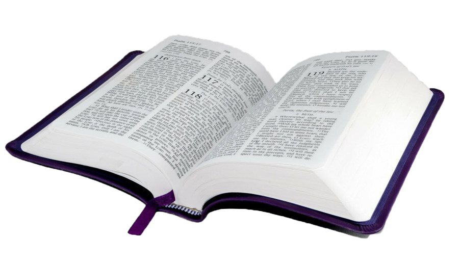 Holy Bible Png File (white, silver)