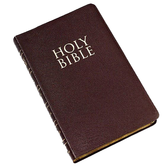 Holy Bible Png Images (maroon, white)